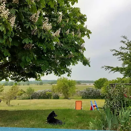 Zum Seeblick Apartment *